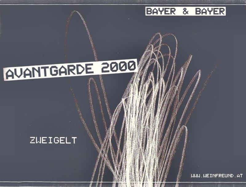 Bayer & Bayer_Avantgarde 2000.jpg